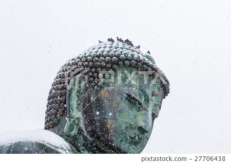 Kamakura Great Buddha Snow pigeon Kamakura Great Buddha Snow pigeon 27706438