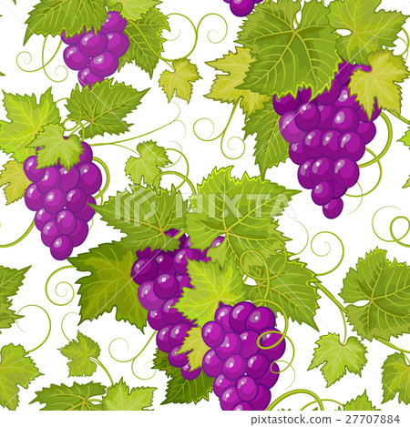 vector seamless pattern with violet grapes and vector seamless pattern with violet grapes and 27707884