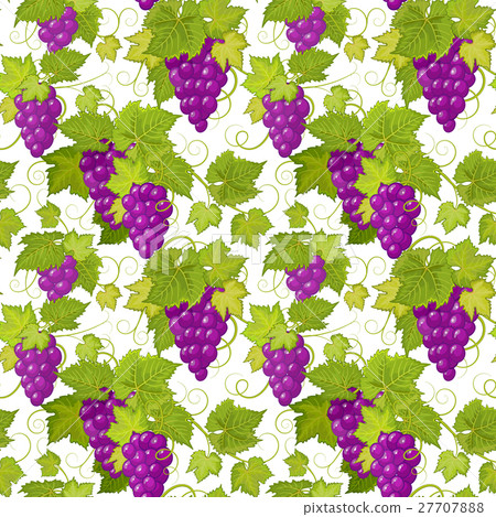 Grapes seamless background. Vector pattern. Vector Grapes seamless background. Vector pattern. Vector 27707888