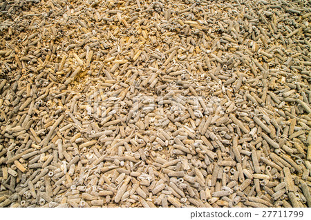 Biomass from corn waste for power generation 27711799