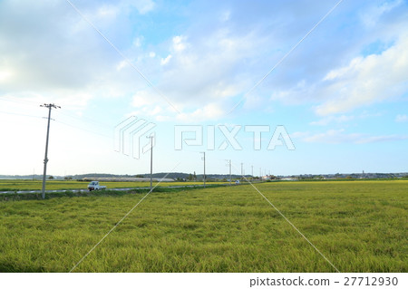 Paddy field Paddy field 27712930