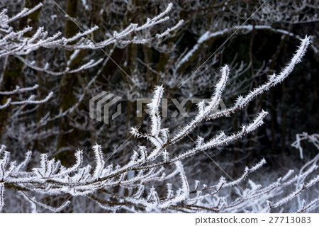 Winter view 27713083