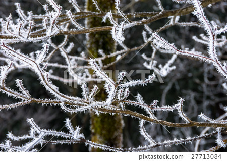 Winter view 27713084
