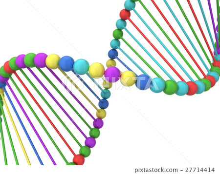 Dna spiral 27714414