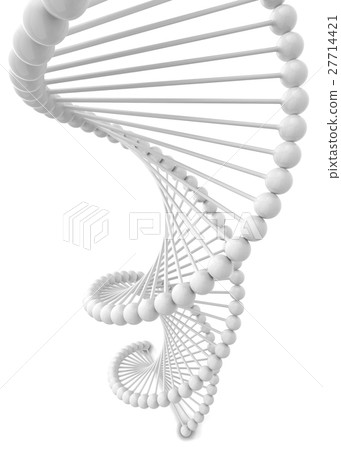 Dna spiral 27714421