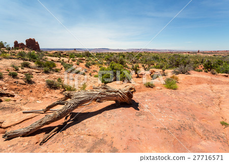 Desert rags in monument valley. Desert rags in monument valley. 27716571