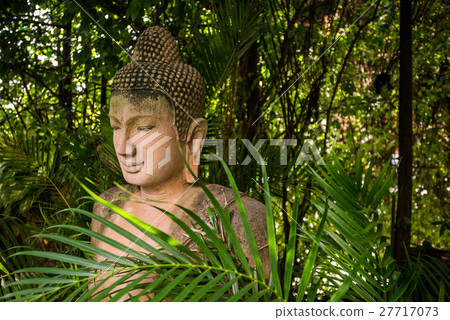 The stone Buddha statue in forest background The stone Buddha statue in forest background 27717073