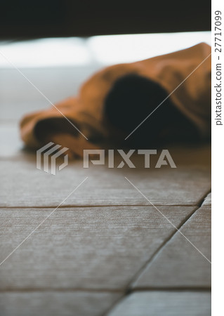 aikido, male, males 27717099