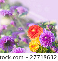 beautiful dahlias, collage 27718632