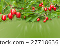 Green background with berries of hawthorn 27718636
