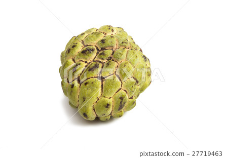 Fresh Custard Apple isolated 27719463