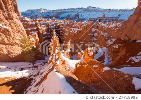 Winter Bryce Canyon Winter Bryce Canyon 27719989