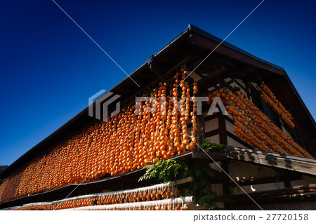 Dried persimmon farmer Dried persimmon farmer 27720158