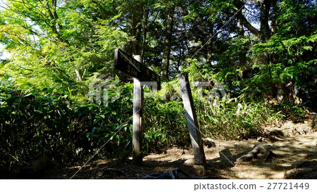 Yanden battle ridge root Fujimi bench Yanden battle ridge root Fujimi bench 27721449