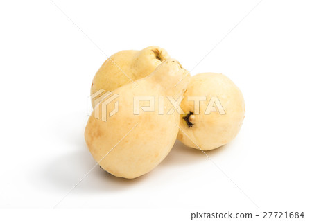 yellow guava fruit isolated yellow guava fruit isolated 27721684
