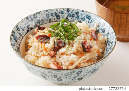 Octopus rice 27722714