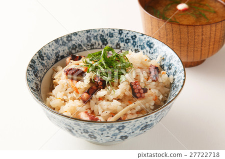 Octopus rice 27722718