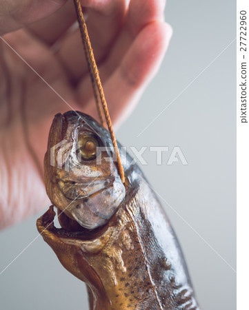 熏虹鱒魚 27722960