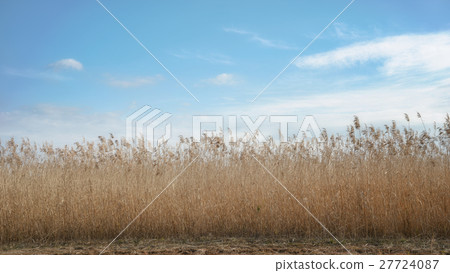 Lakeside Susukino 27724087