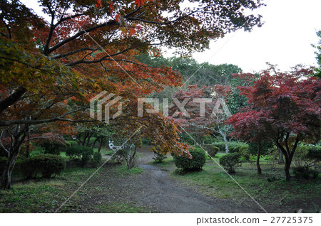 鎌倉Genkisan公園的照片 27725375