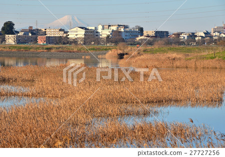 Meanuma paddy: Shibakawa Daiichi Adjustment Pond 27727256
