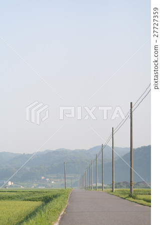 霧和電線桿的雨耳朵路 霧和電線桿的雨耳朵路 27727359