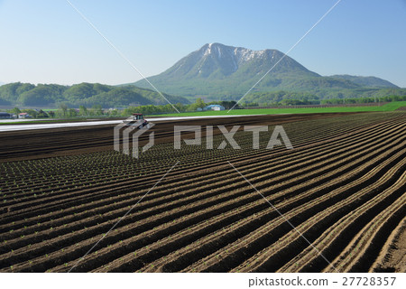 Landscape to raise a field with Hakodate Mt. Okabe-dake in early spring back 27728357