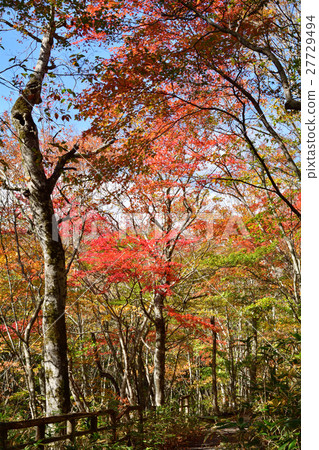 Mt. Kurikoma 27729494