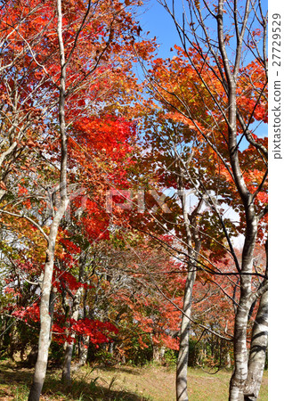 Mt. Kurikoma Mt. Kurikoma 27729529
