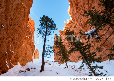 Winter Bryce Canyon 27730157