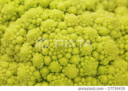 cauliflower cauliflower 27730439