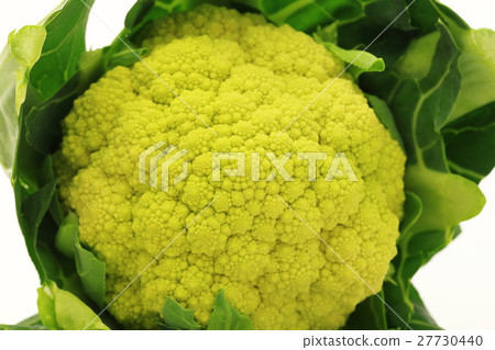 cauliflower  27730440