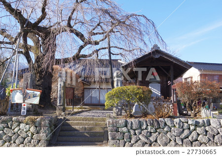 Shinshu's Cultural Property Buddhist Monaster and Madame Moriya Sadaharu Ishidoba Life Extraordinary Jizo Bosatsu Statue (Iijima Town) 27730665