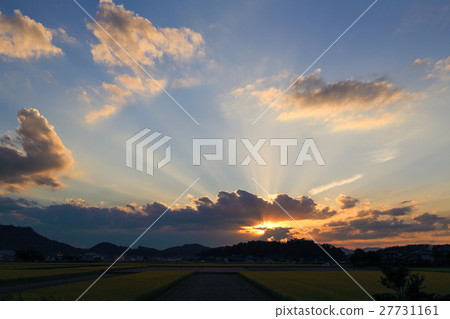 光束···3 光束···3 27731161