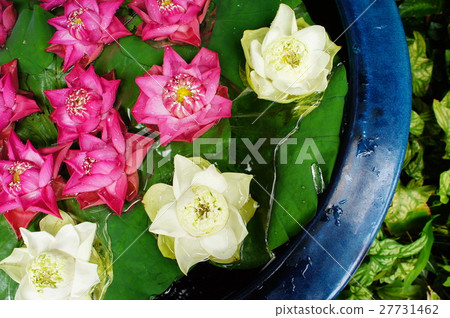 Jim Thompson's house lotus 27731462