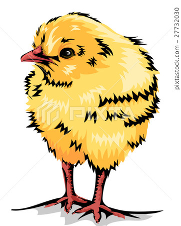 Yellow Chick Yellow Chick 27732030