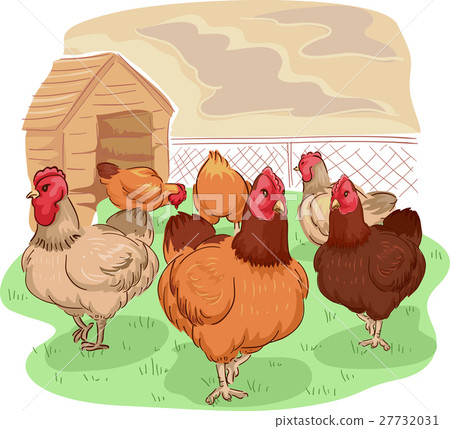 Free Range Chicken Coop 27732031