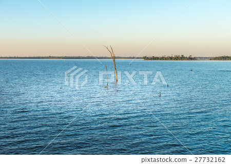 Submerged branch on the parana river in Itaipu dam Submerged branch on the parana river in Itaipu dam 27732162