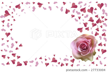 Delicate pink Rose on a blurred white background 27733004