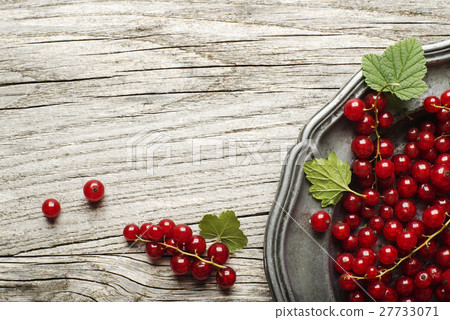 Redcurrant 27733071