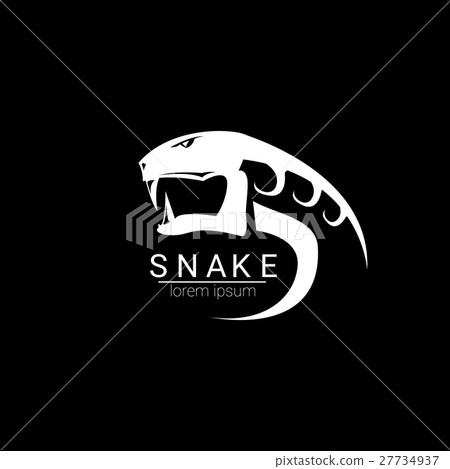 vector snake simple logo design element. vector snake simple logo design element. 27734937