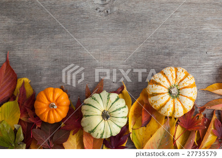 Three gourds on the grey table, autumn leaves 27735579