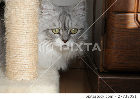 Looking at Minuet, "Something to worry about me" Looking at Minuet, "Something to worry about me" 27738051