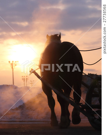 Banged horse race Banged horse race 27738568