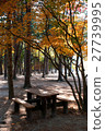 South Korea 27739995