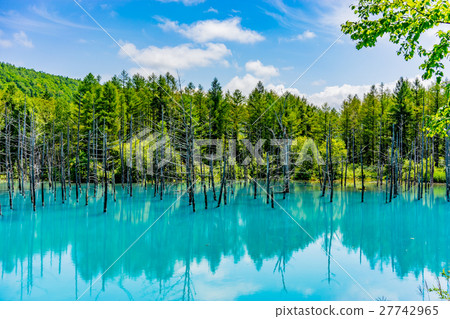 [Hokkaido] Biei Blue Pond 27742965