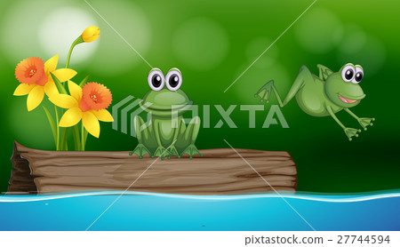 Two green frogs at the pond scene - Stock Illustration [27744594] - PIXTA