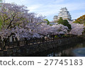 Cherry blossoms at Himeji castle 27745183