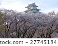 Cherry blossoms at Himeji castle 27745184