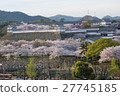 Cherry blossoms at Himeji castle 27745185